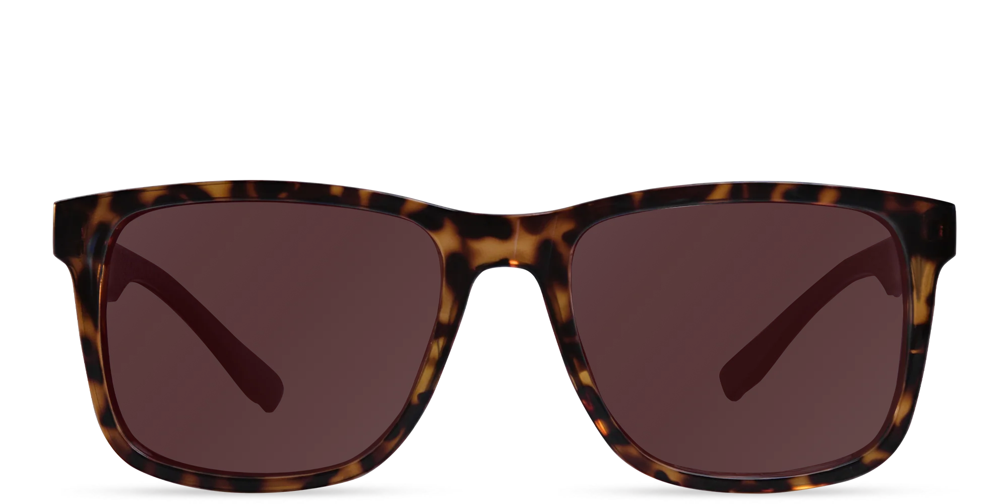Tilden Honey Tortoise Polarized Protan Plano